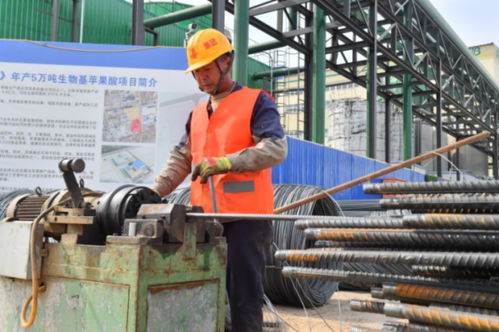 秦皇岛各县区加速推进生物基材料等重点项目建设，“进度条”拉满冲刺
