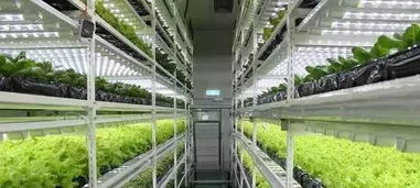 植物工厂是个什么鬼？走进这9家看看，生物基材料的未来在这里
