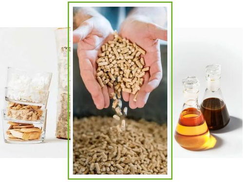 斯道拉恩索2019年业绩解读 生物质材料事业部的生物基材料战略